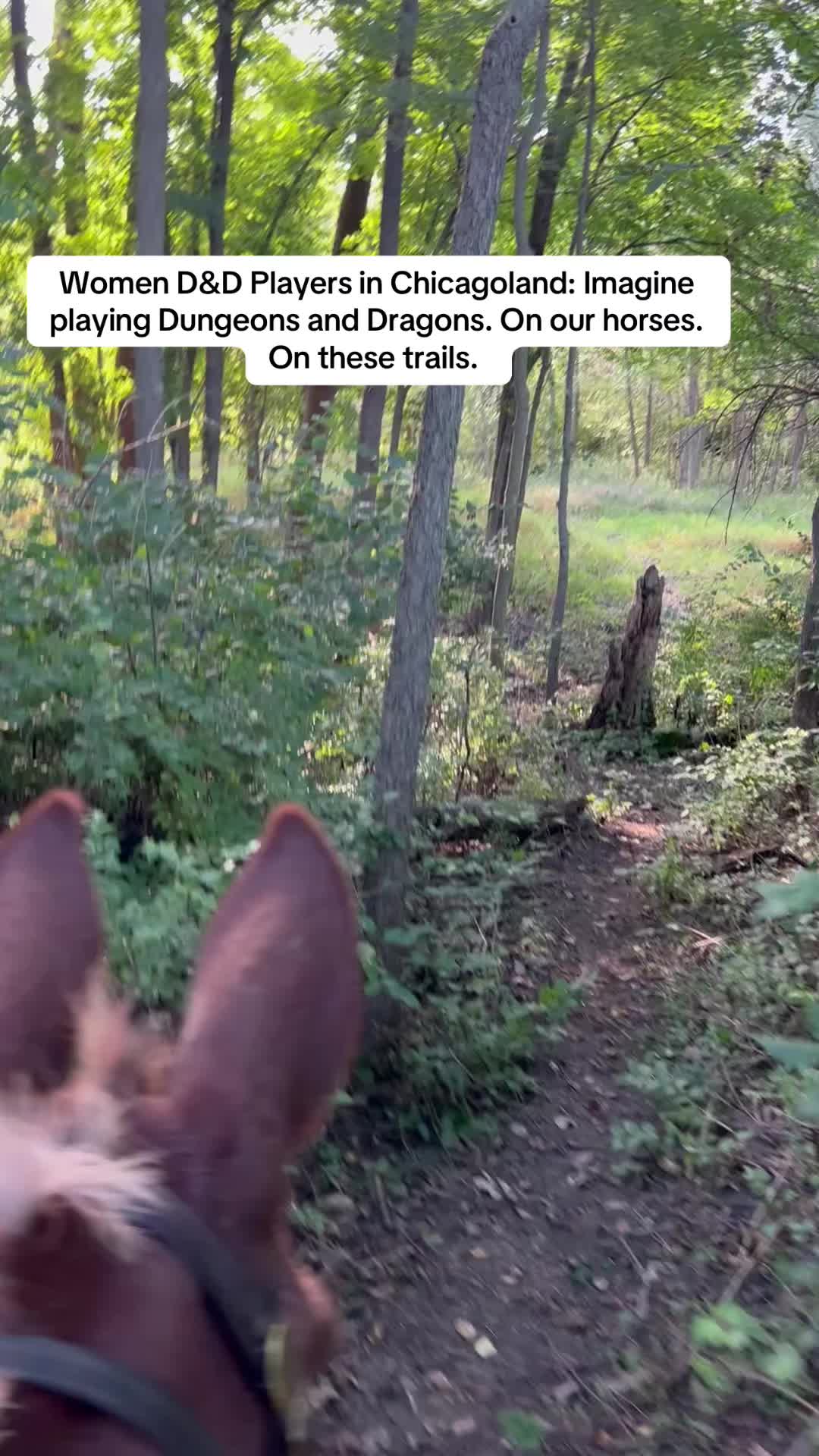 @SaddleSnaps