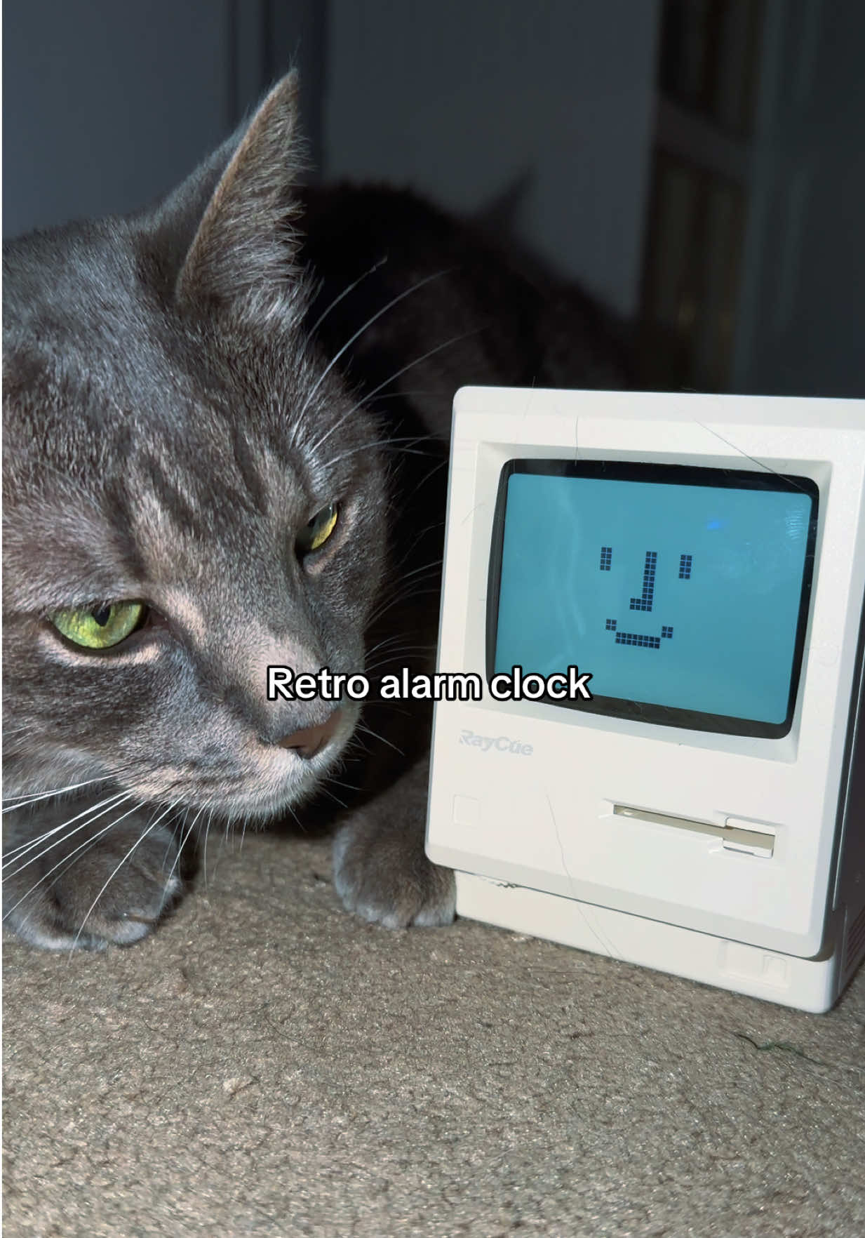 @D♡ll