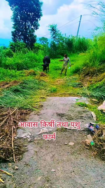 @basyal babu