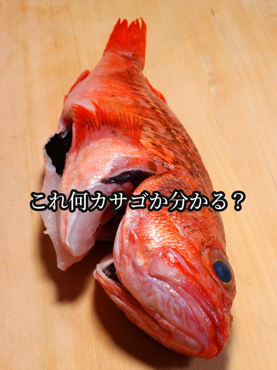 @セイゴ水産