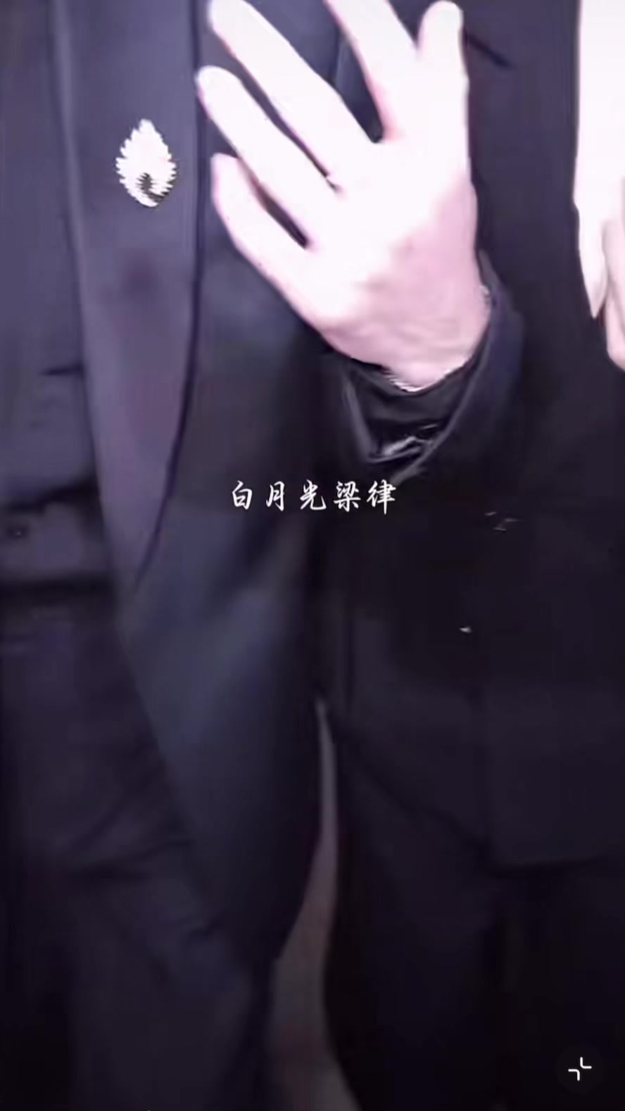 @Trương Tấn Nghi_Jinyi 张晋宜