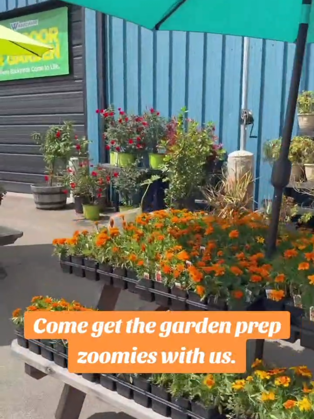 @whardwarehtx