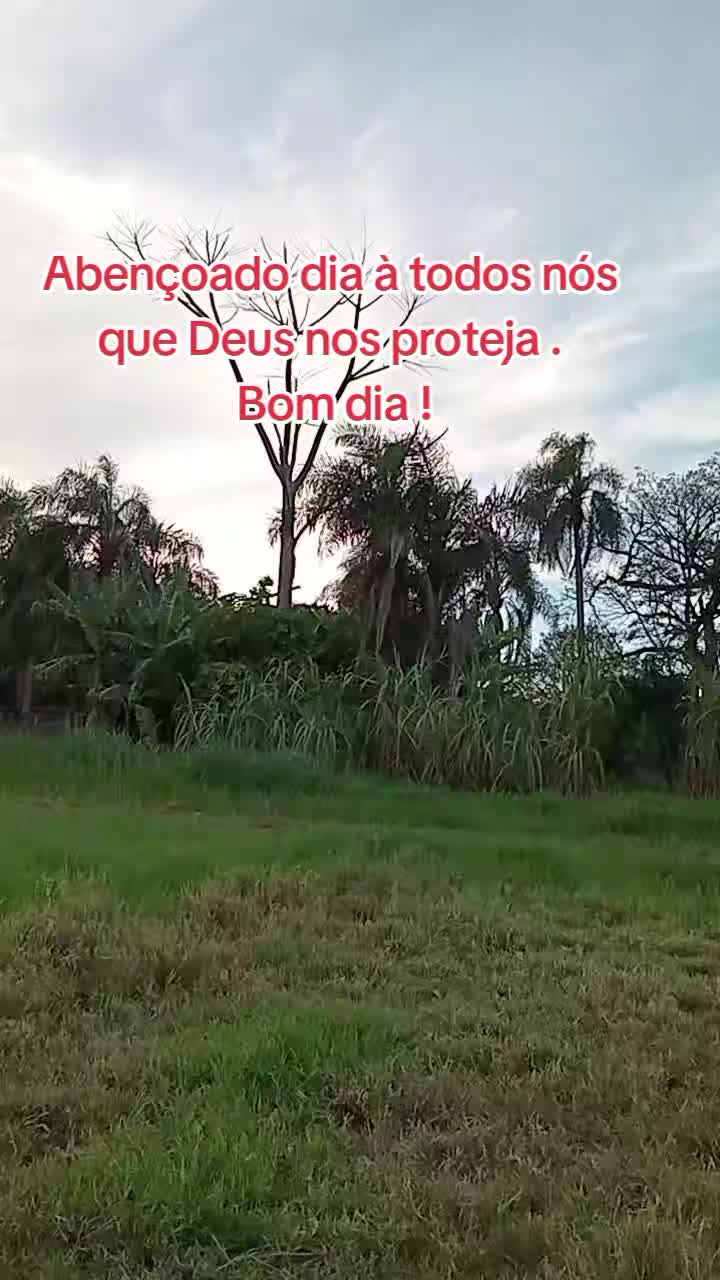 @Marlusa Ferreira Moreira