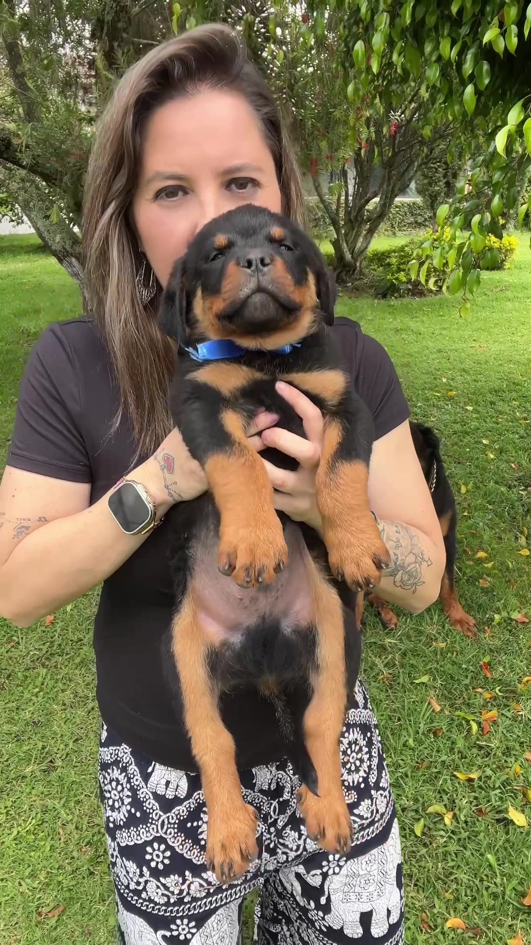 @I love DOGS