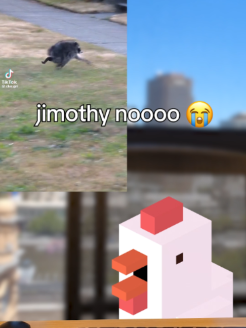 @Crossy Road