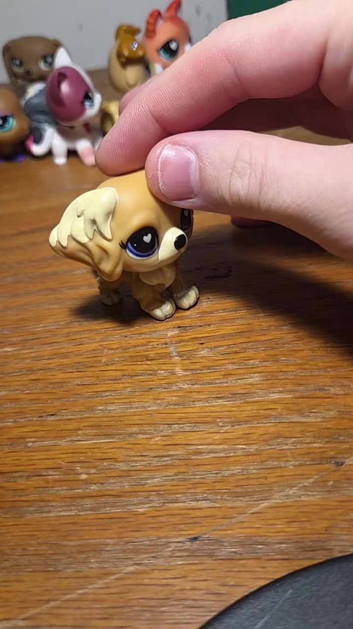 @ehg_yt