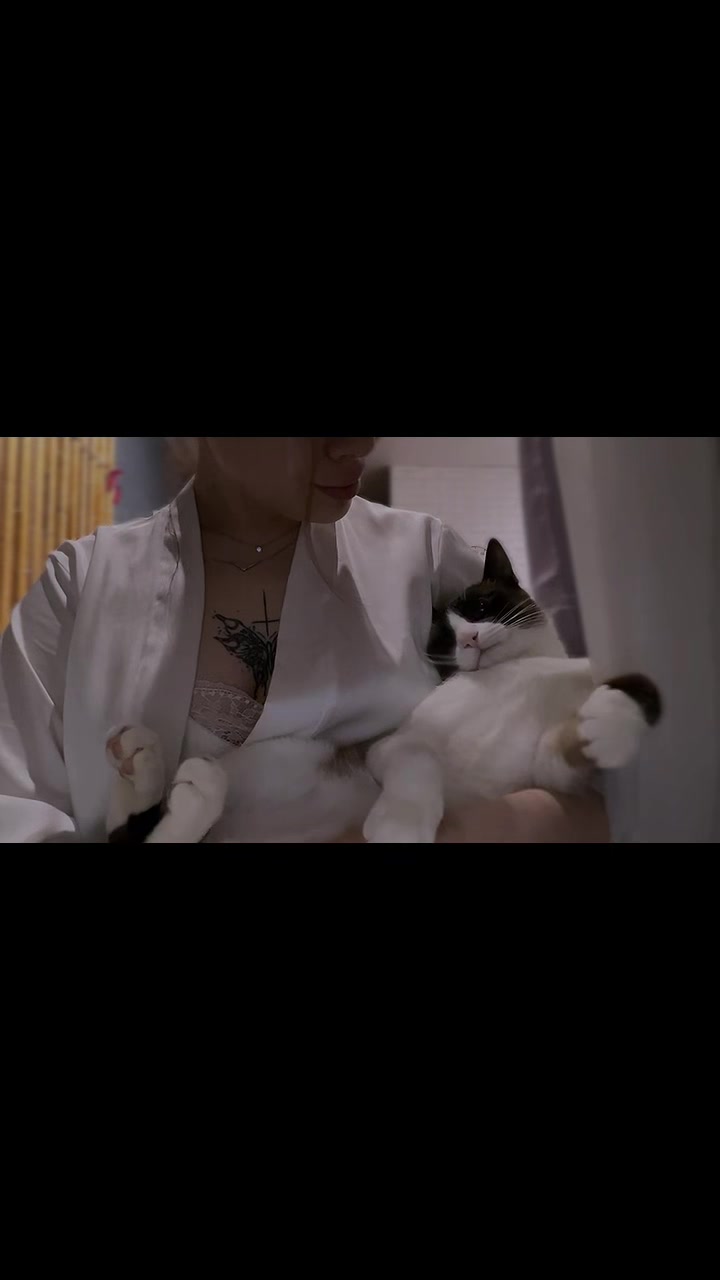 @| sakura 🐈⬛