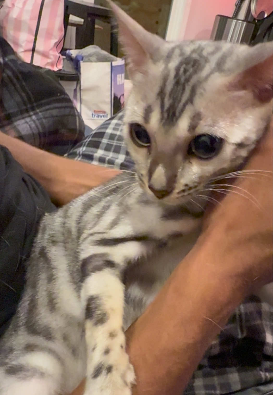 @Sagethebengal