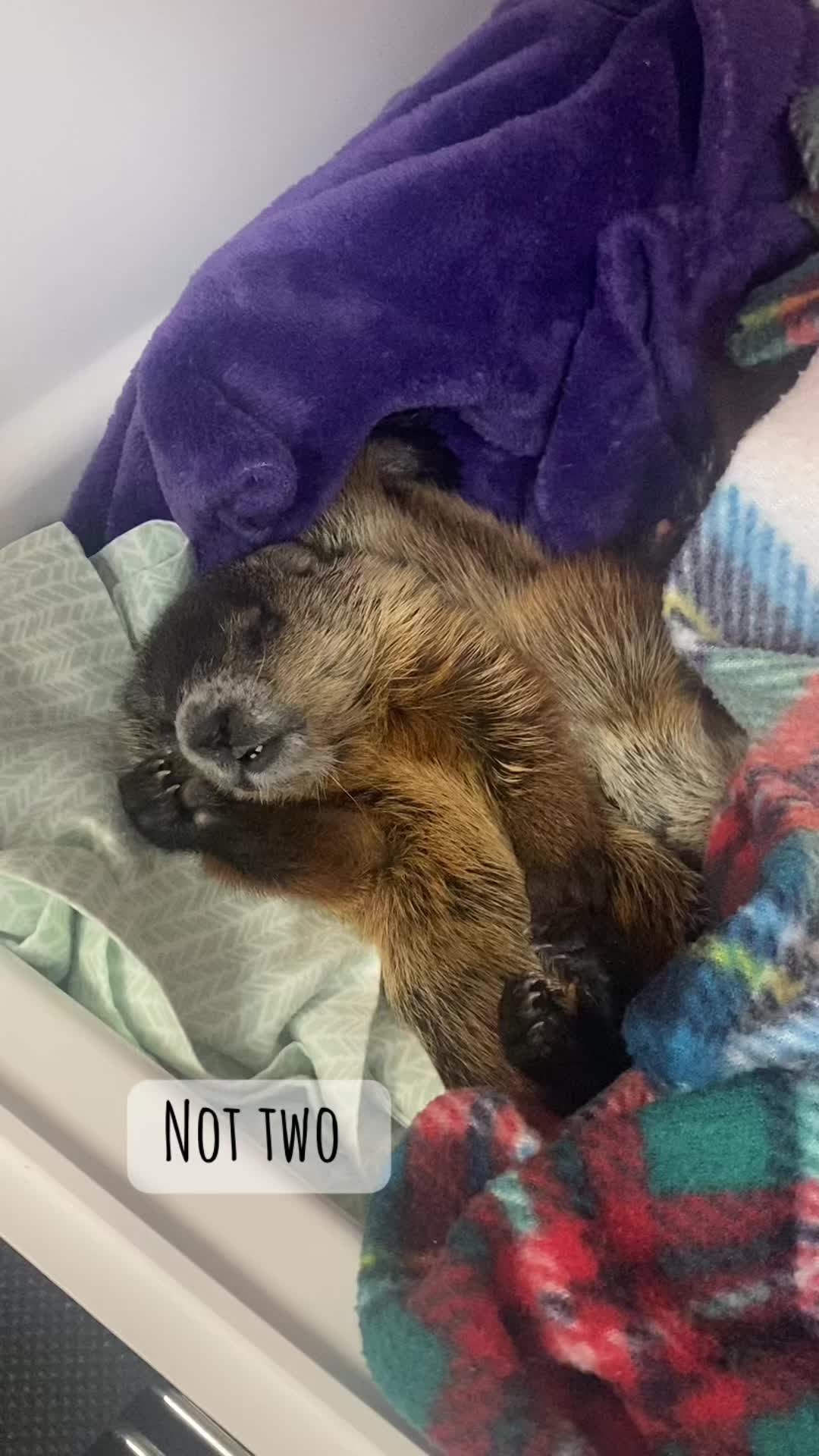 @HowellNatureCenter