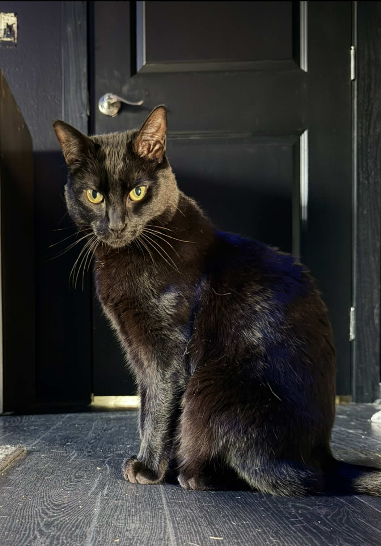 @Arlo๐บ