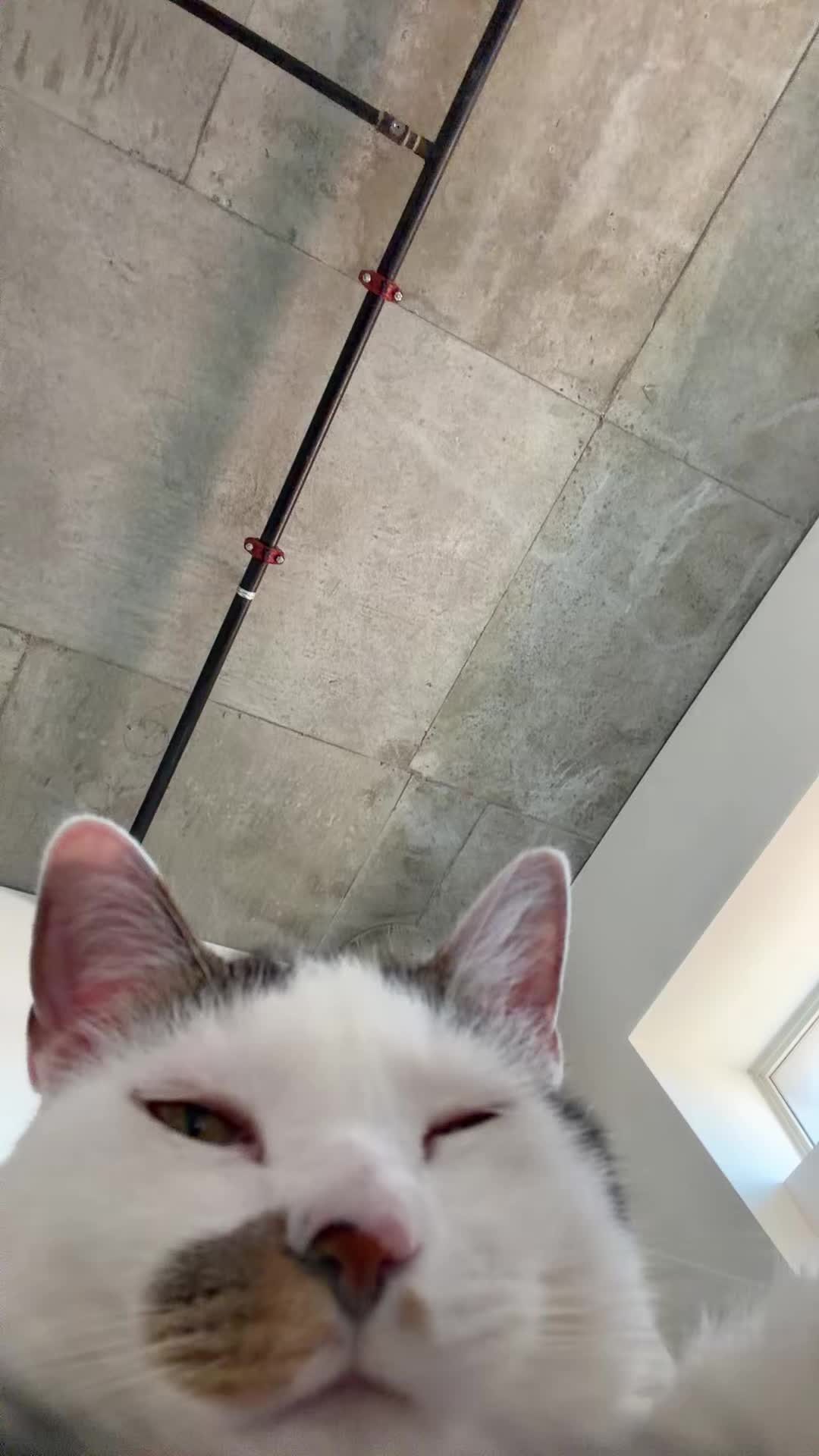 @otisnatlas