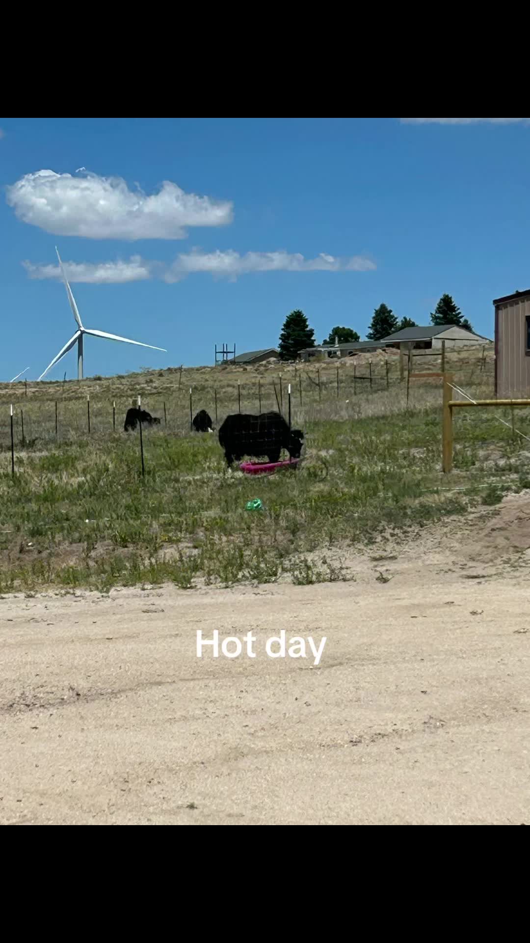 @Yakety Yak Ranch