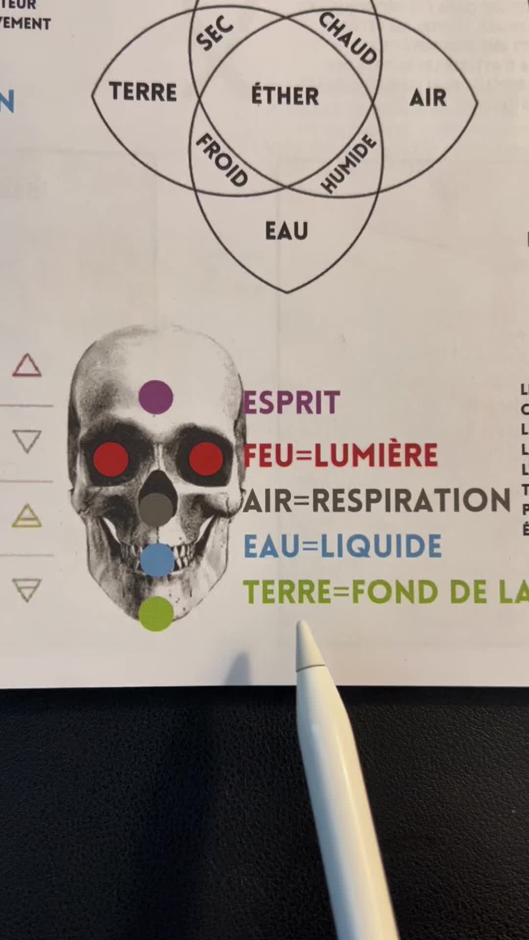 @Renaissance du Savoir