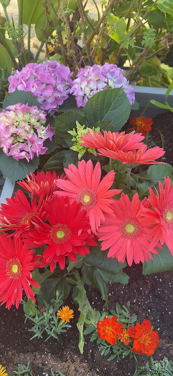 @ʏᴜᴋɪɪ ᵒ̴̶̷̤ꇴᵒ̴̶̷̤
