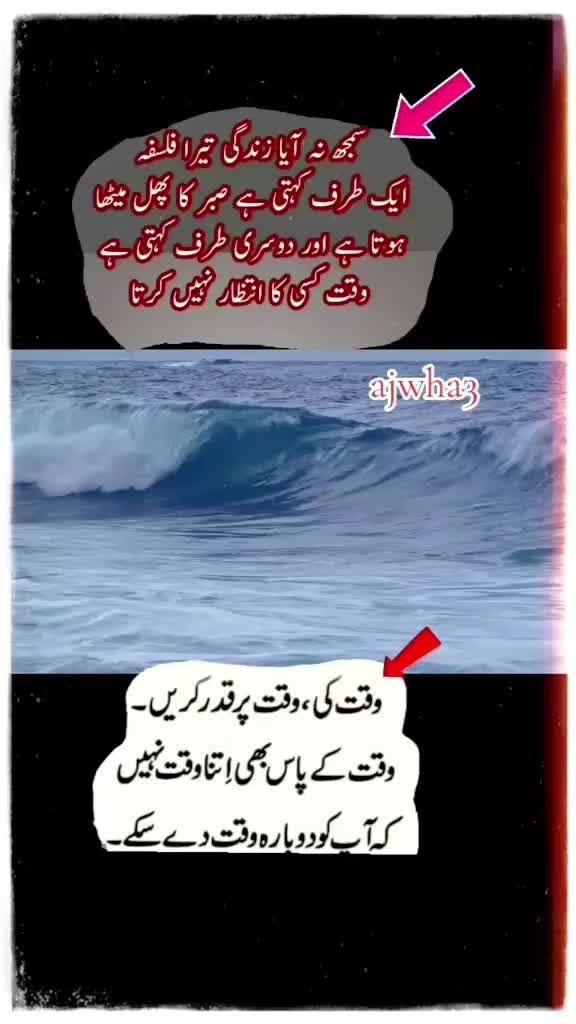 @shakir