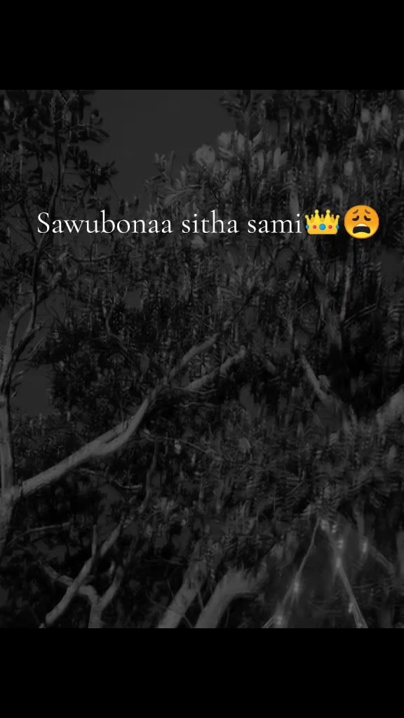@Mfoka Ngwane 🤍