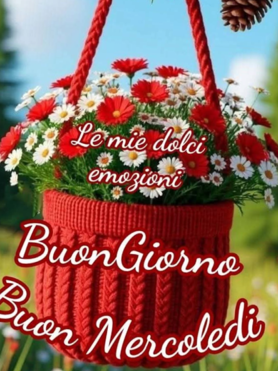 @caterinabiamonte kate