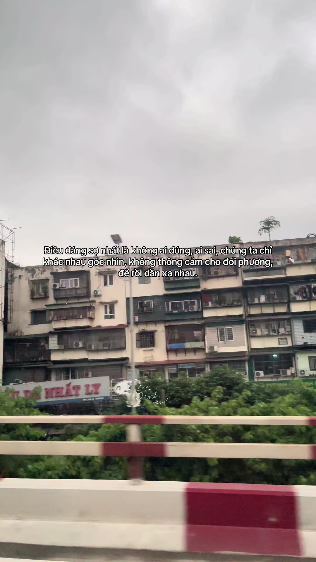@Reels của Tình 🫧