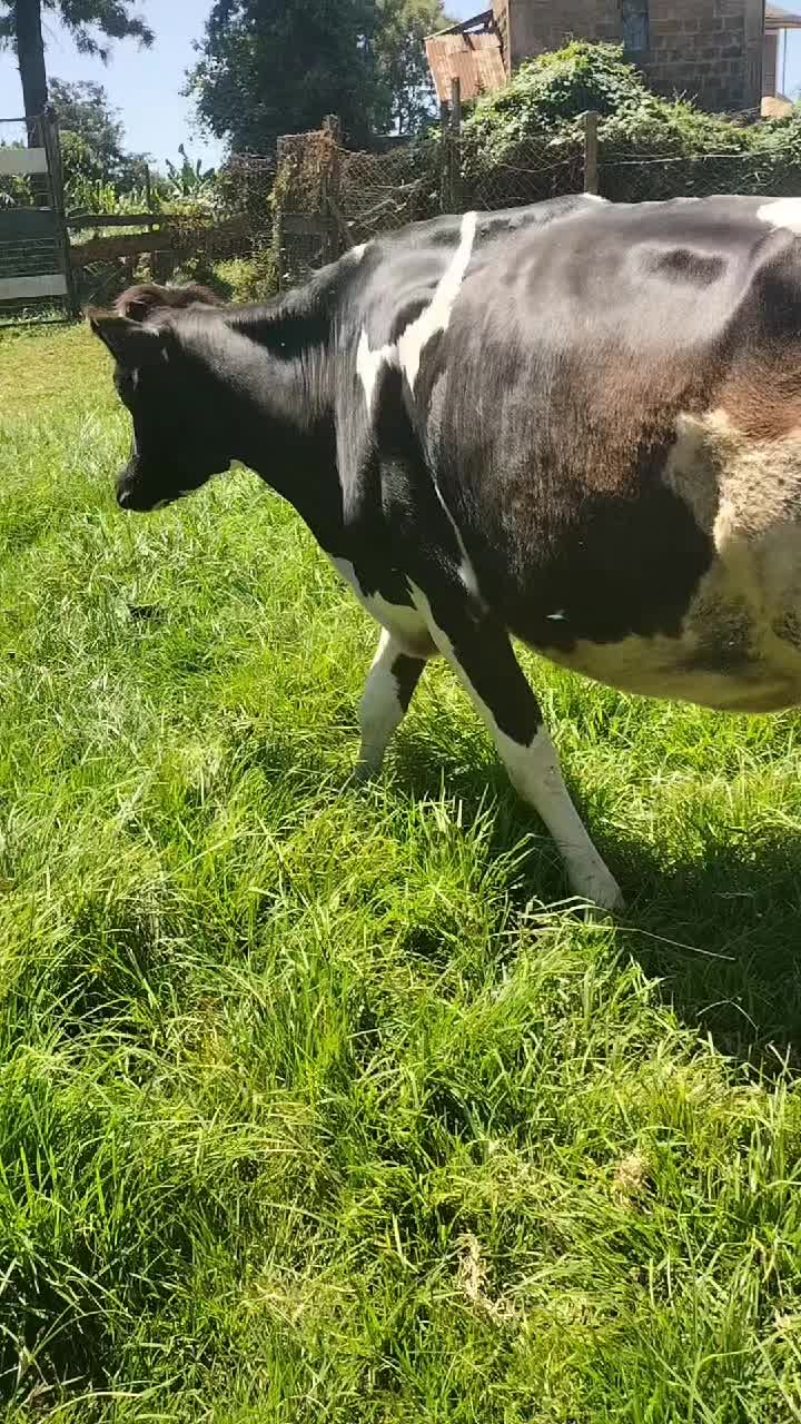 @NELWA REAL FARM