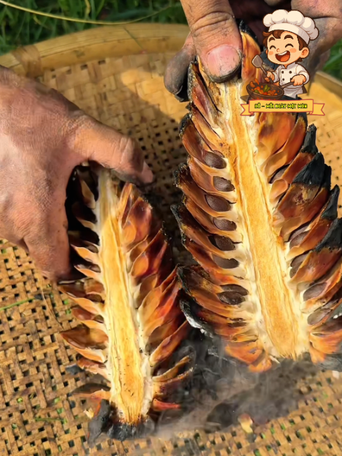 @Đỗ - Mỗi Ngày Một Món
