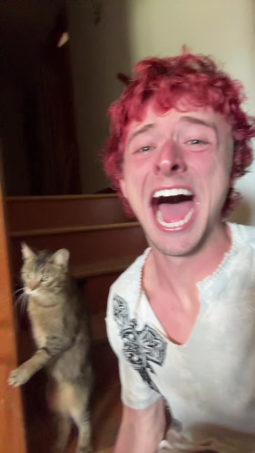 @Grungycatdad
