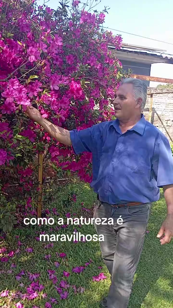@Laércio Garcia