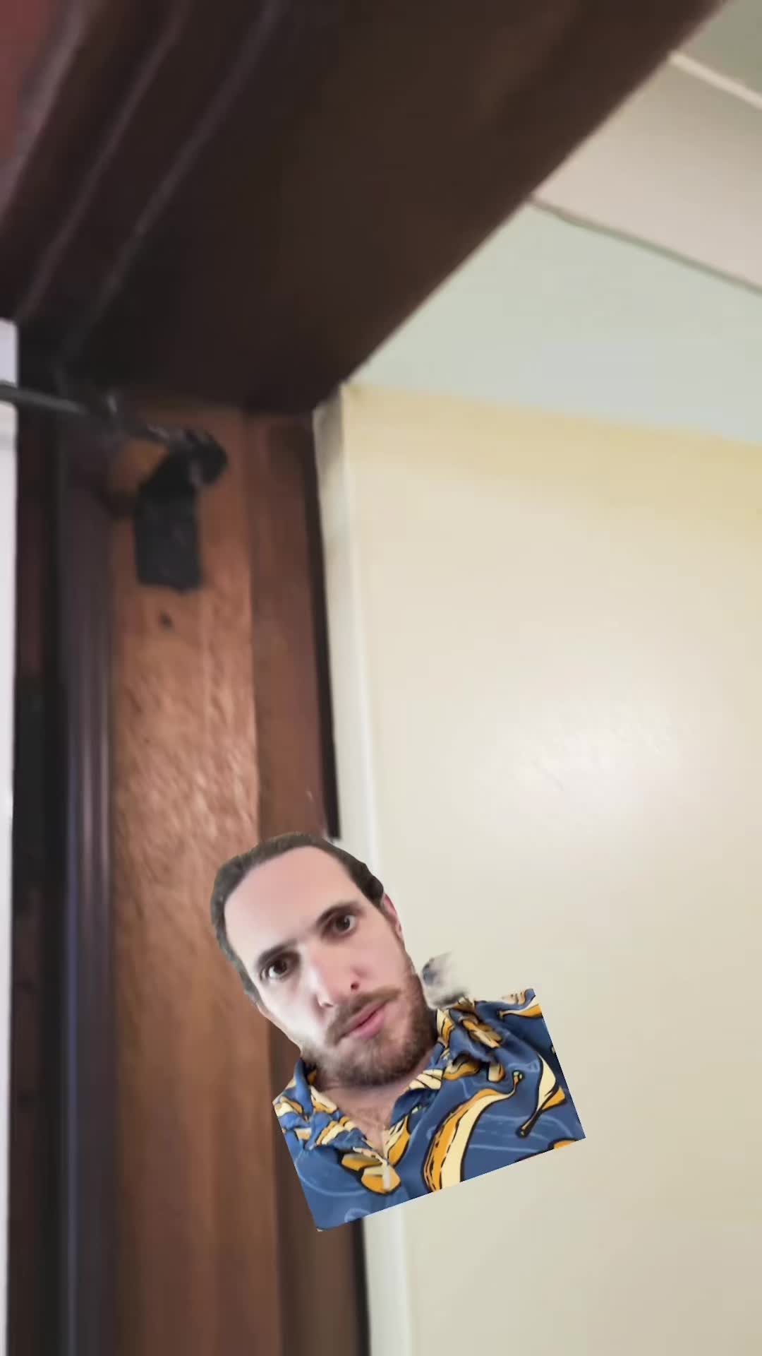 @sidneyraz