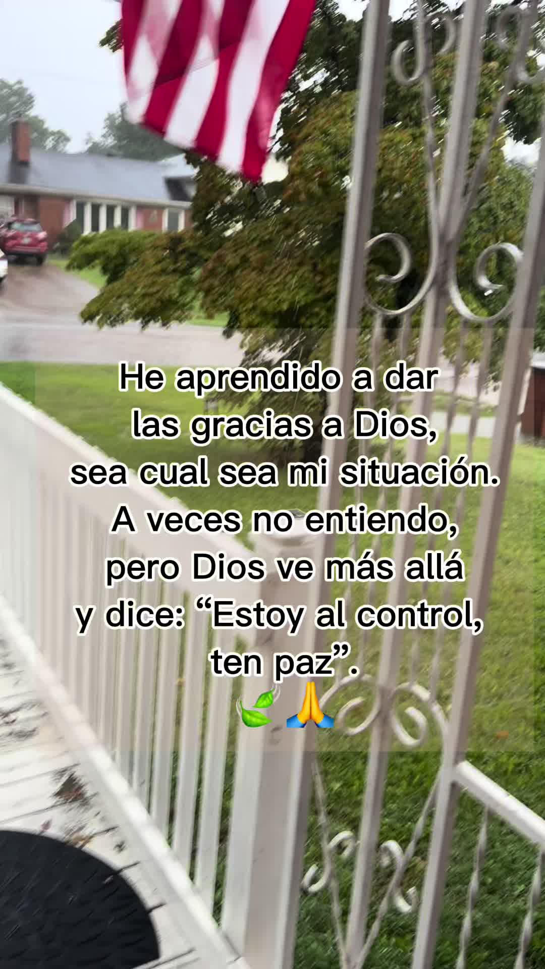 @Luna Pérez | Autora
