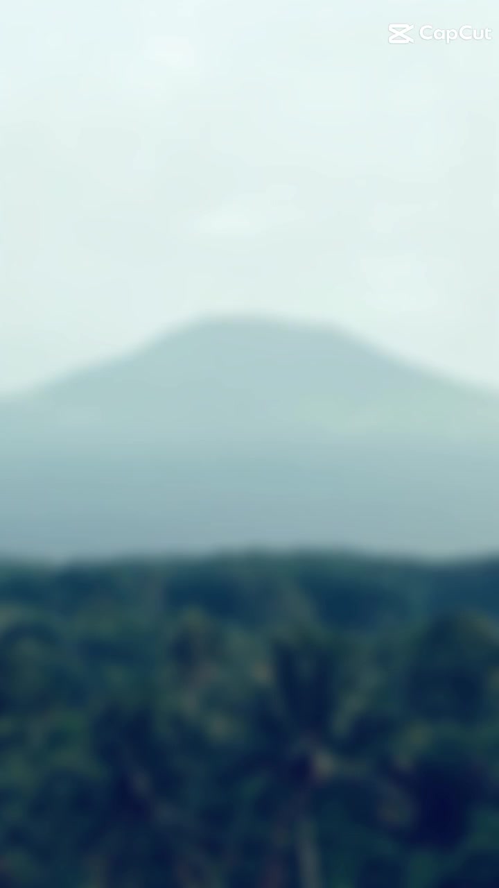 @─── Lihat 1.294 balasan ﹀