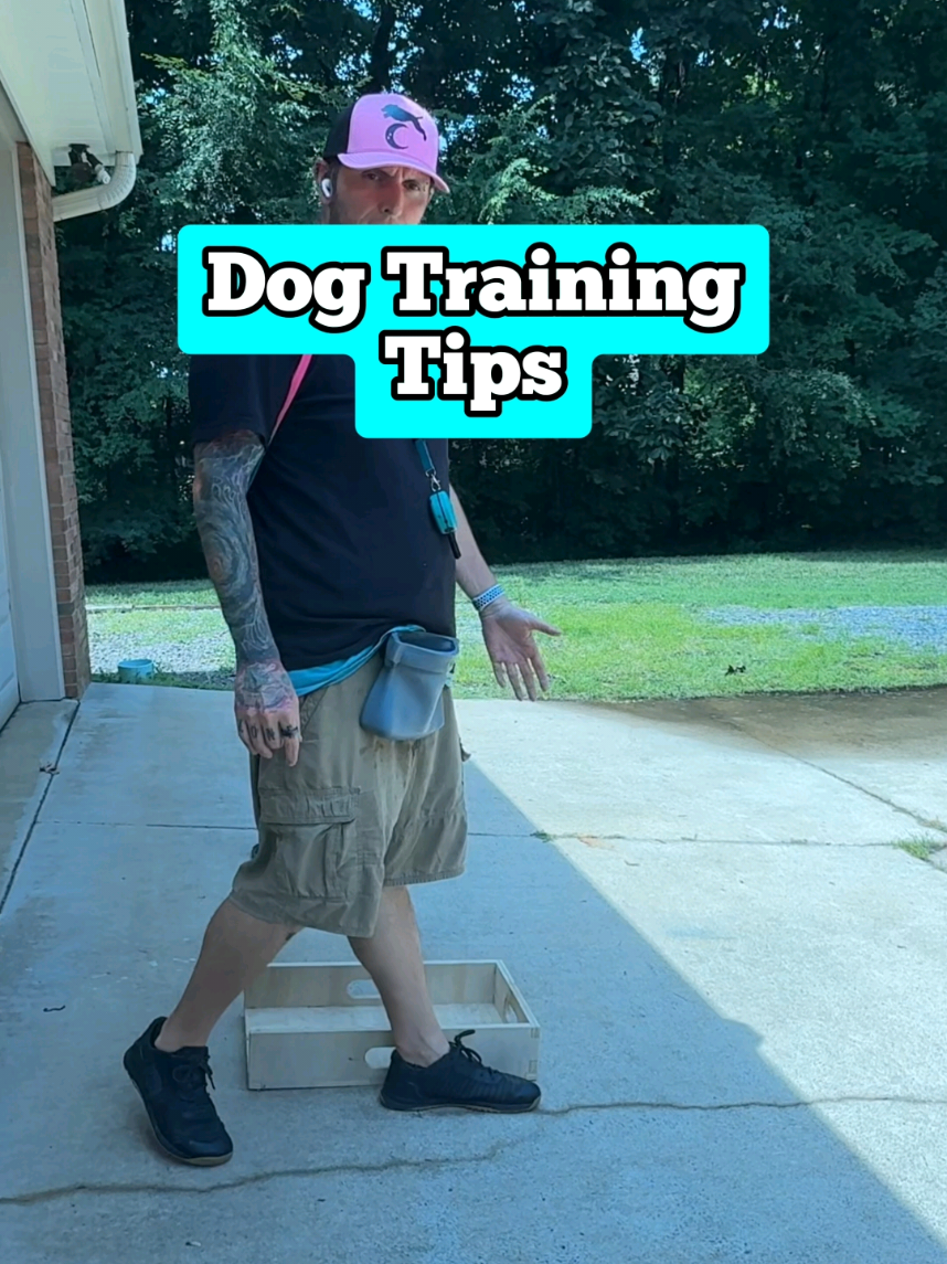 @Lost Boys K9 Academy