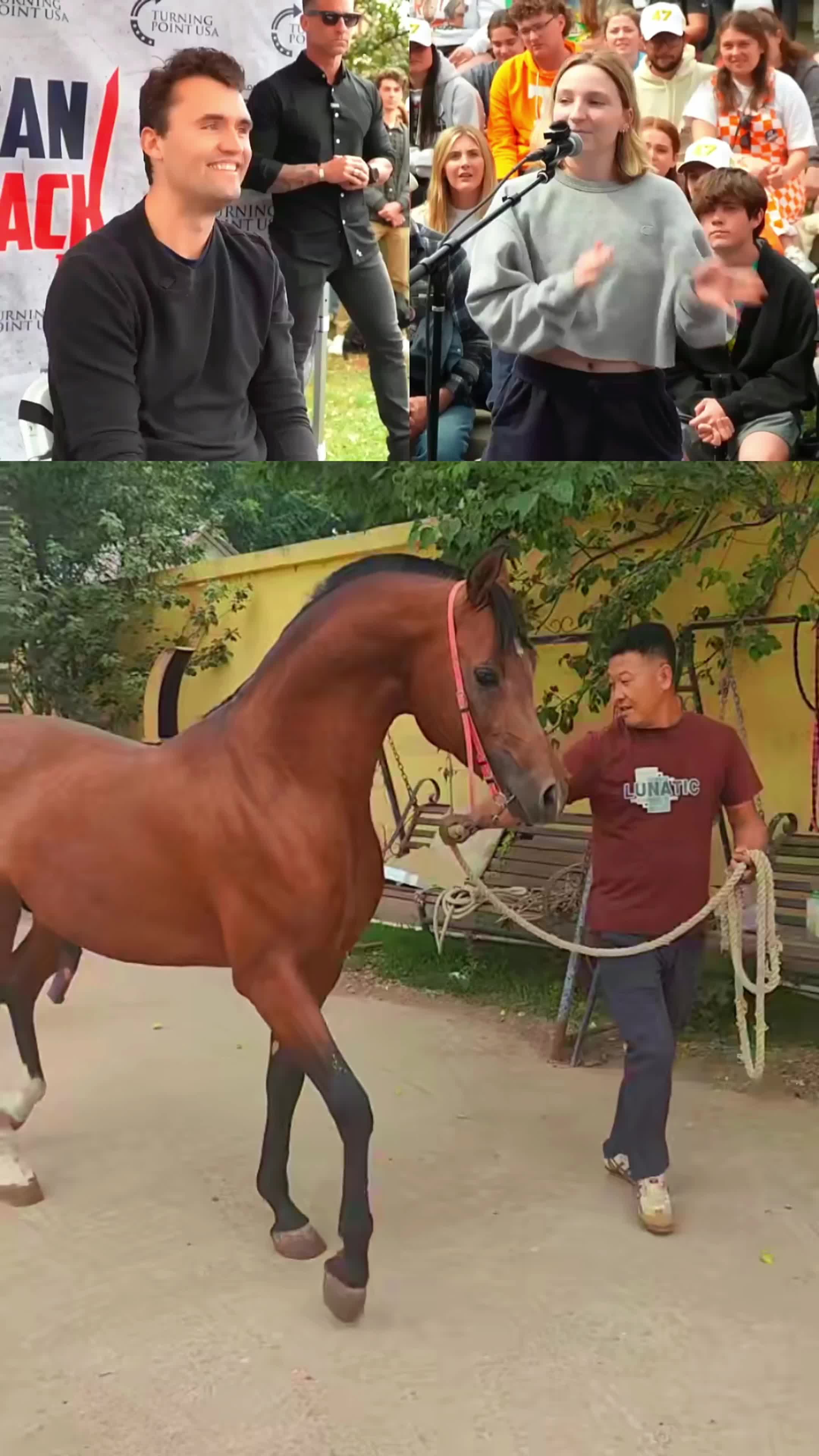 @horselife015