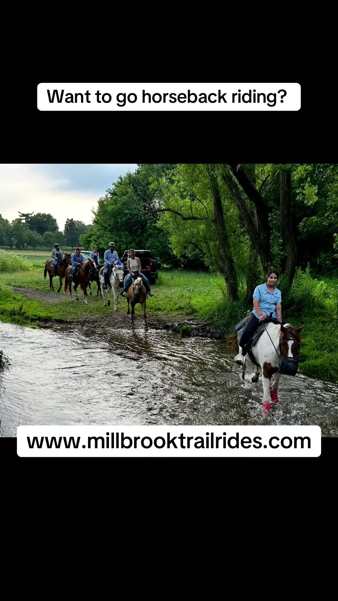 @Millbrook Trail Rides