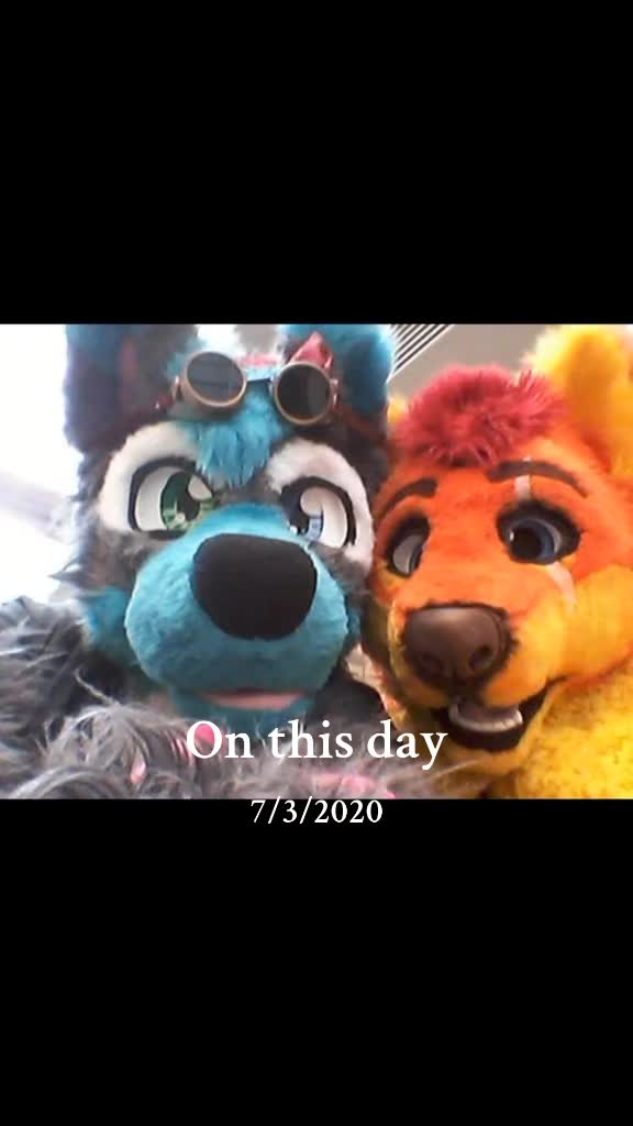 @Savi Wolf ๐ MFF