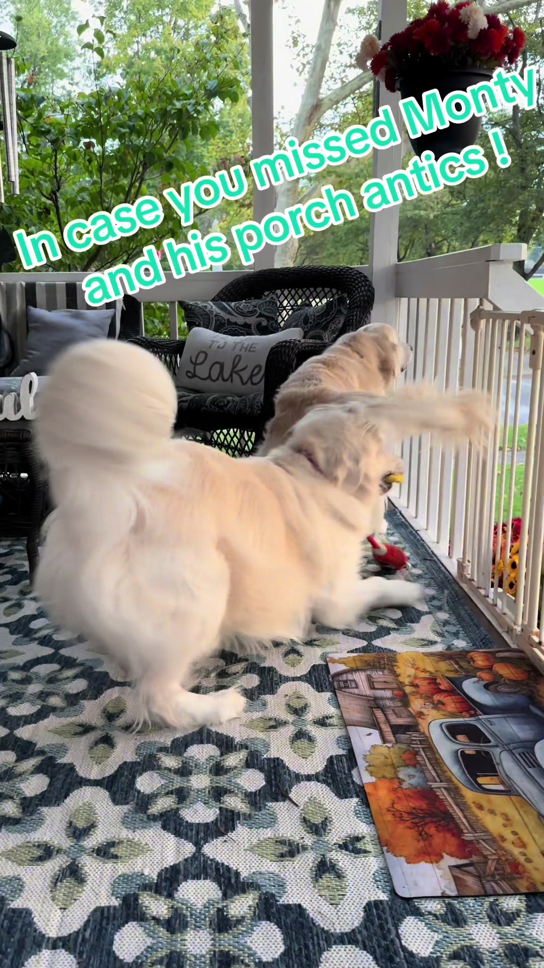 @Golden_mom