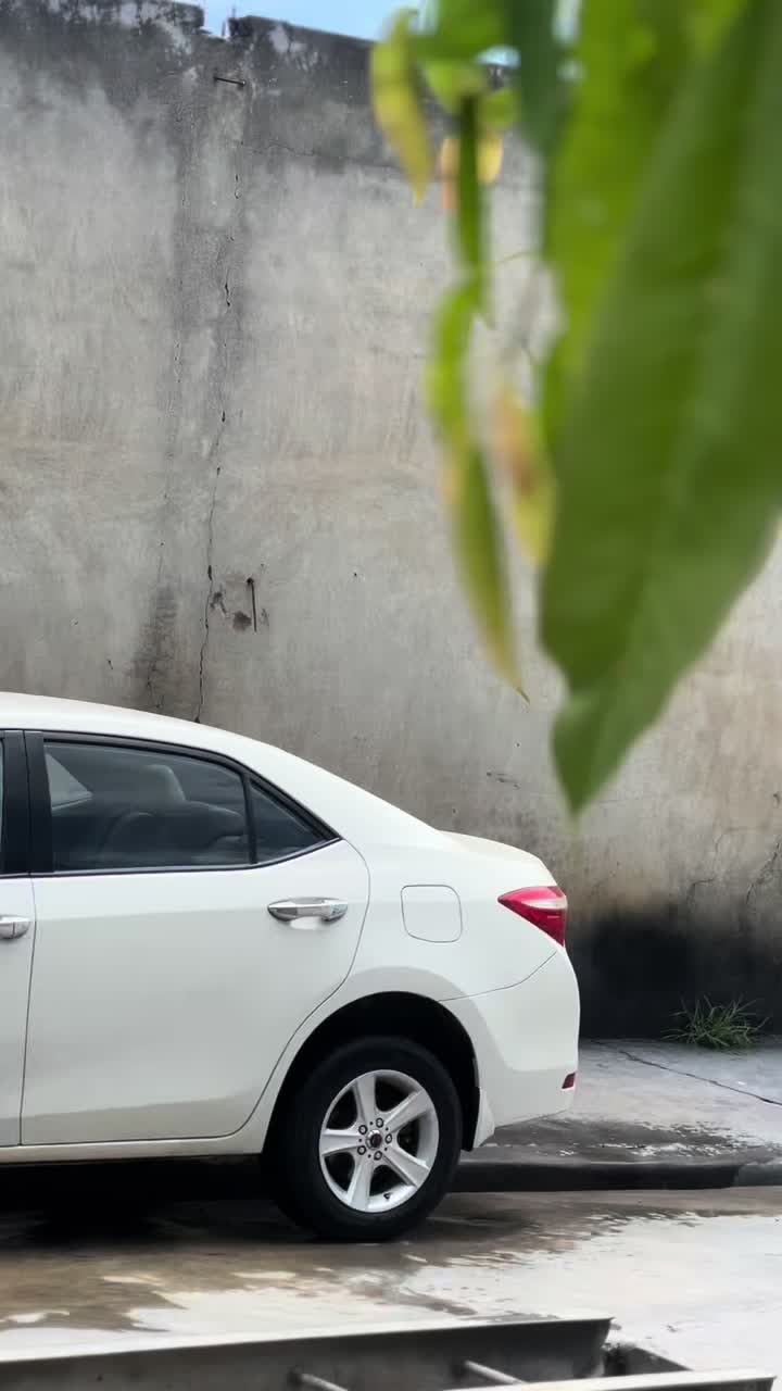 @hassanalinew403