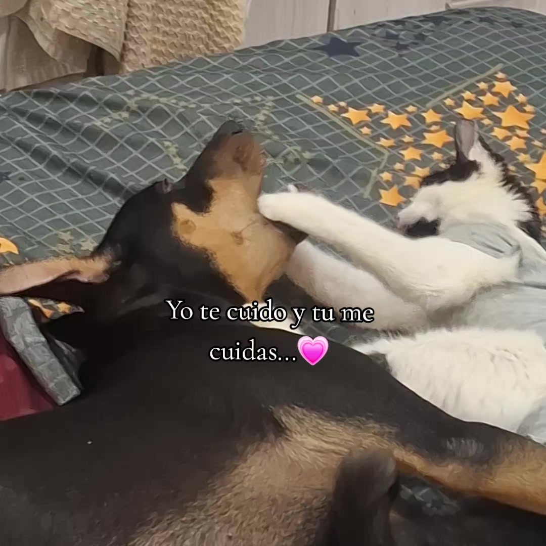 @@escoria