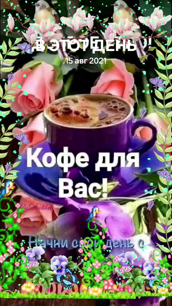 @เผบ ๐๐๐ ๐จ๐๐ฃ๐๐ เผป