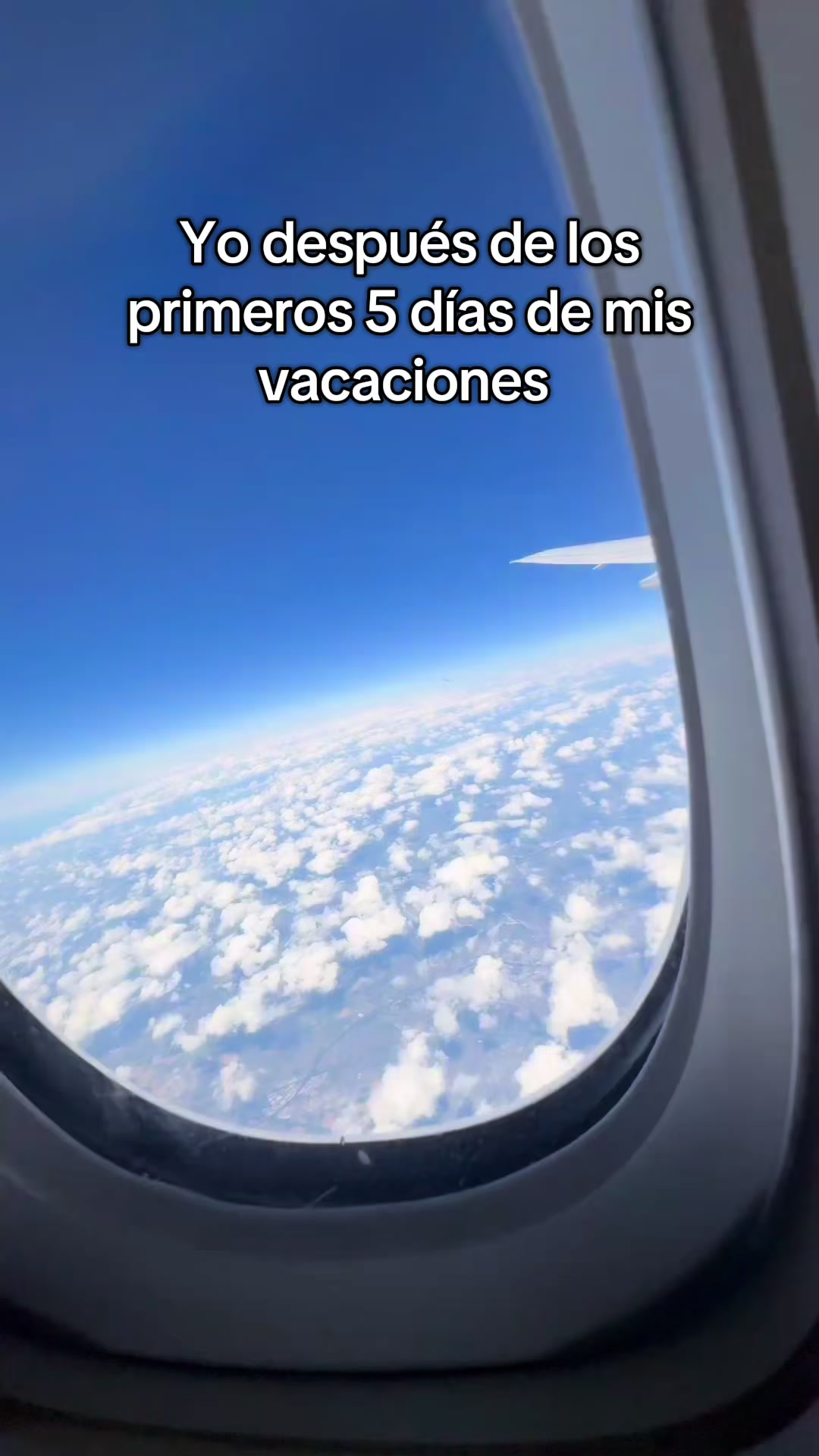 @Dani del Amor