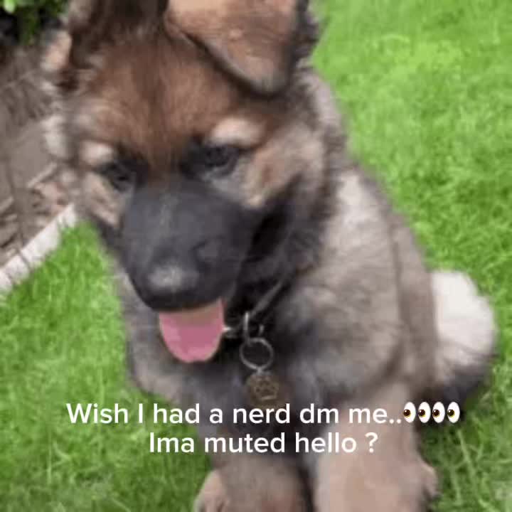 @🩵