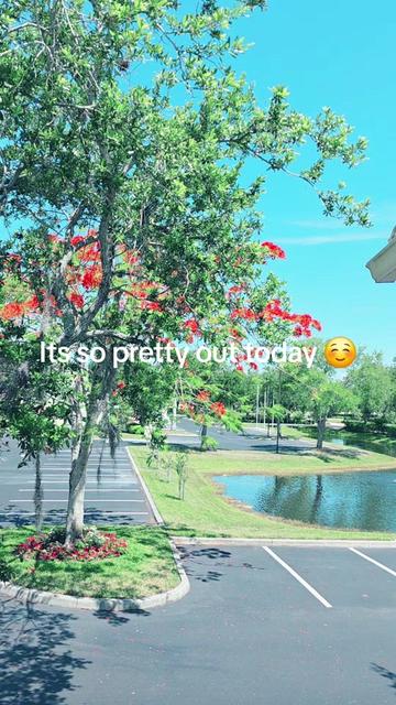 @KyleeReaxo