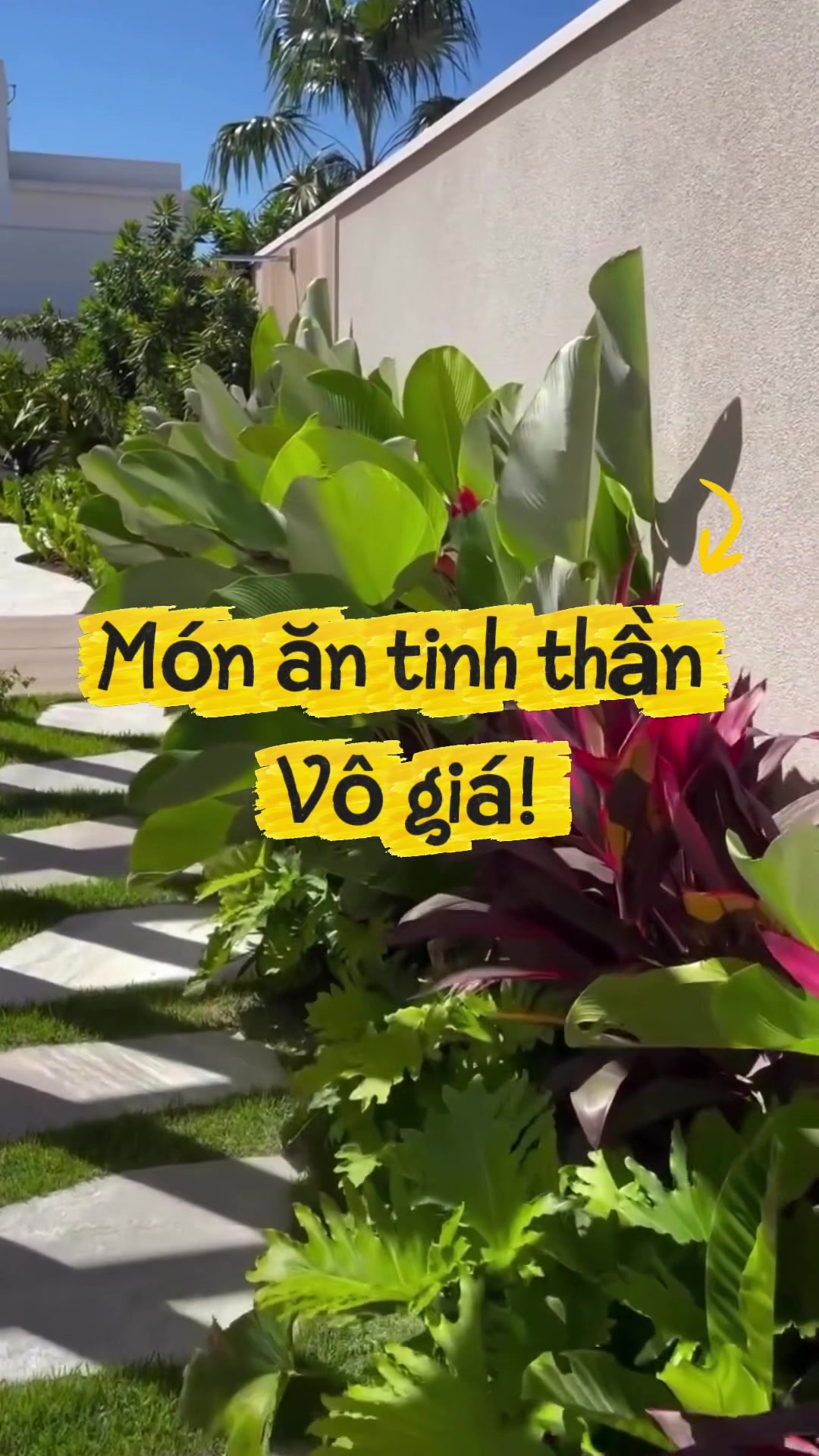 @Tiệm Lá Nhỏ