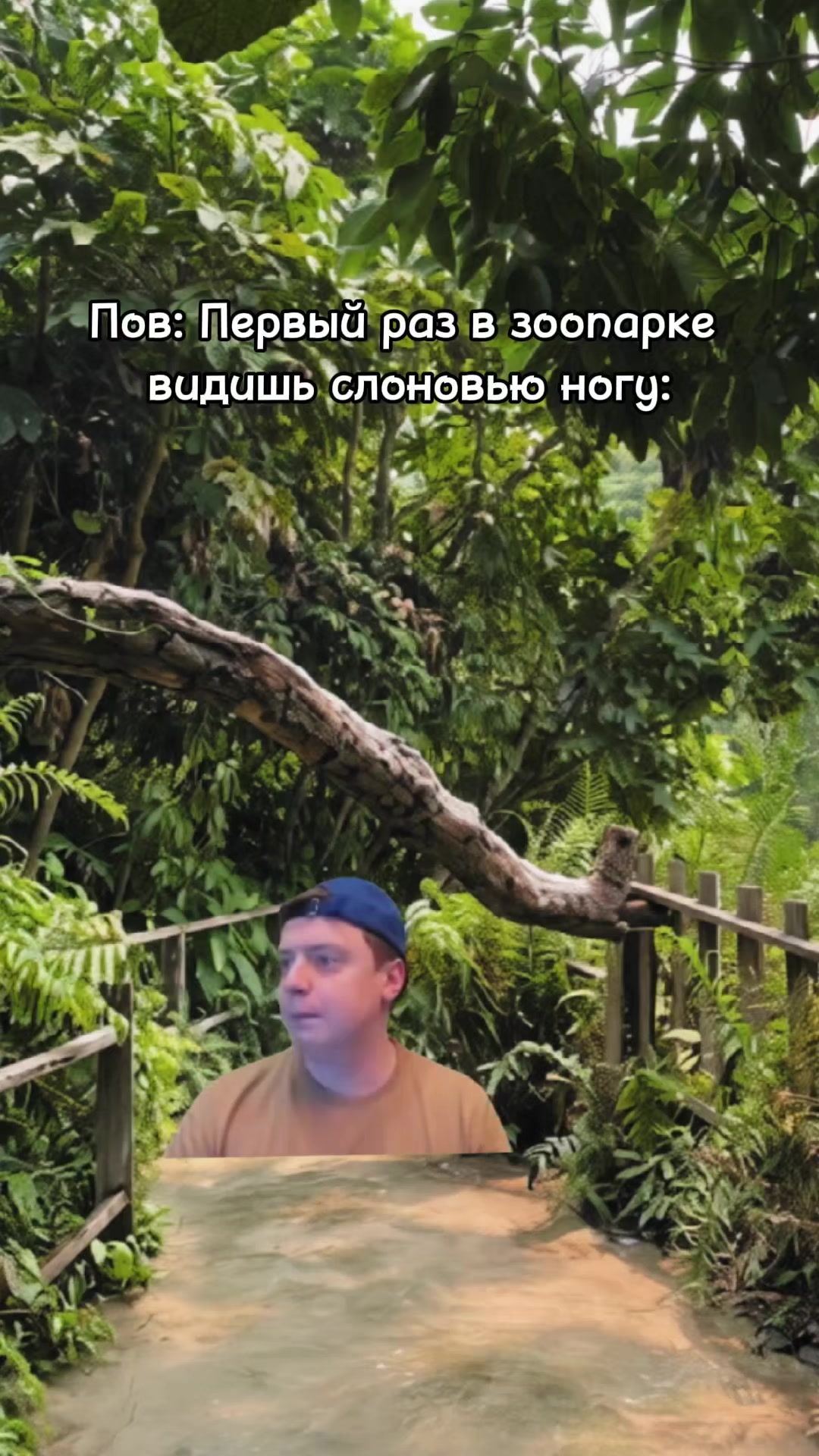 @syal