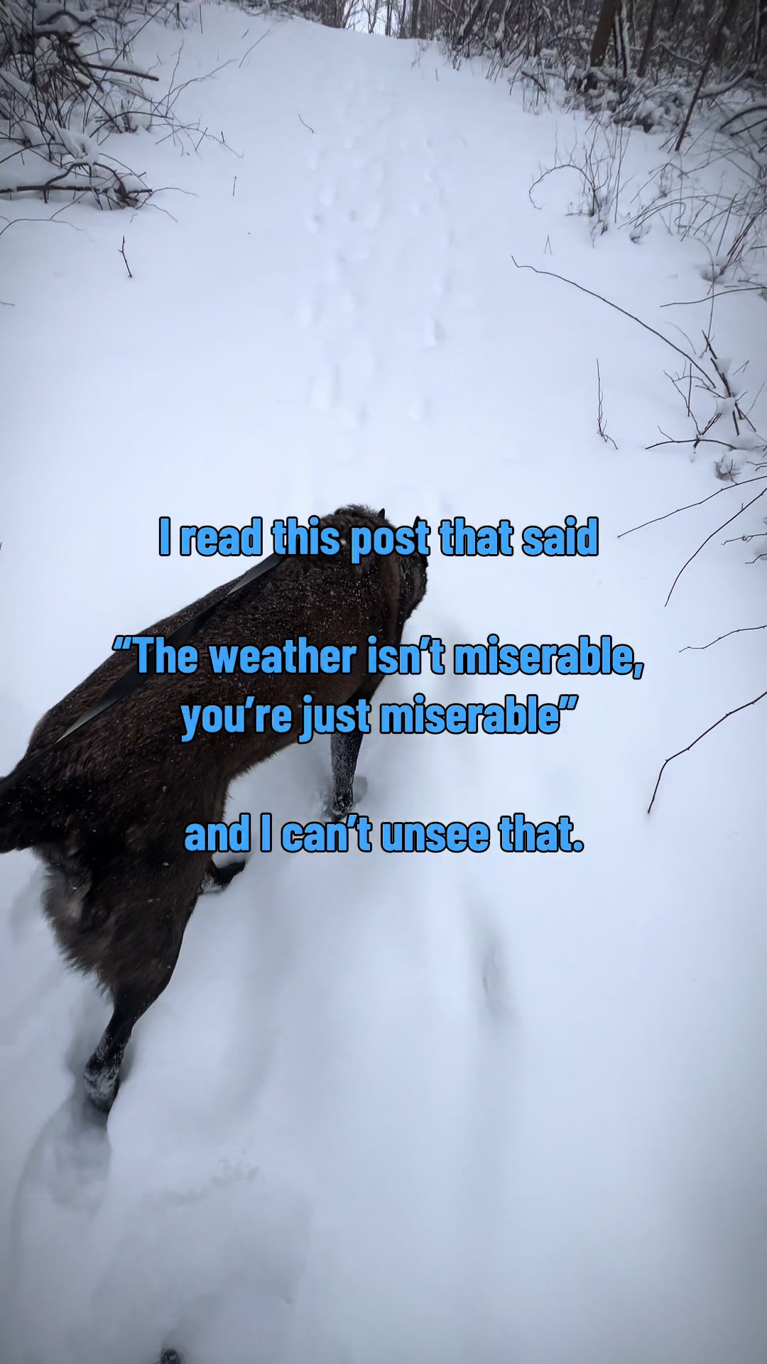 @initial_chaos