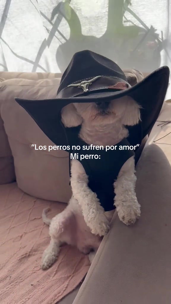@mailenflowers