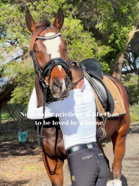 @LumiereEquestrian