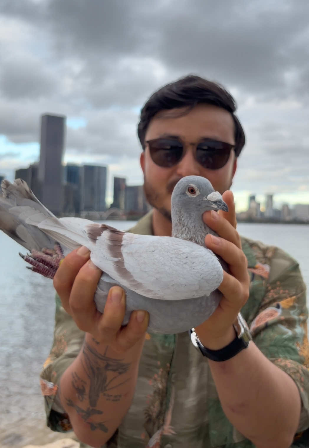 @pigeon.papii