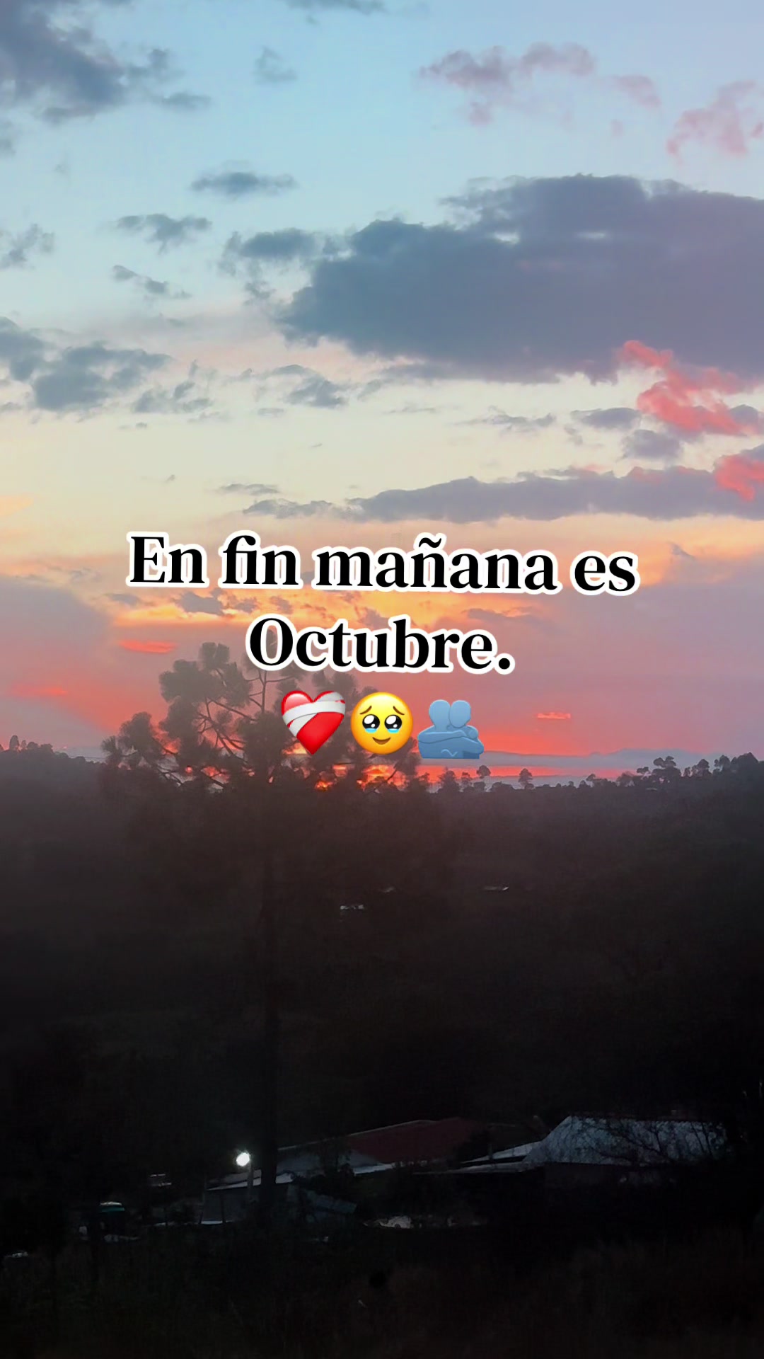 @Marta Sarat🤍🤍
