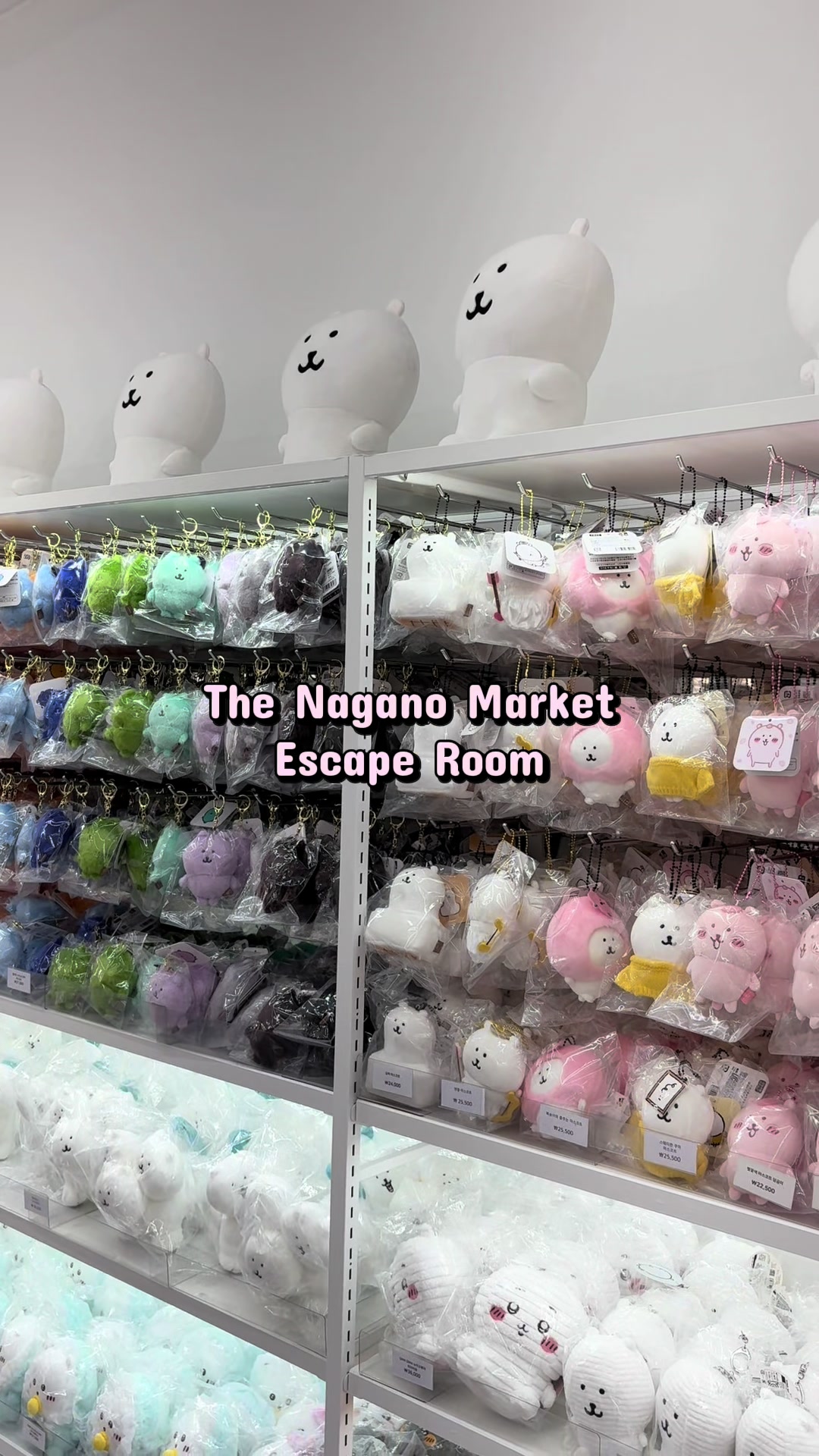 @kc ૮ – ﻌ–ა