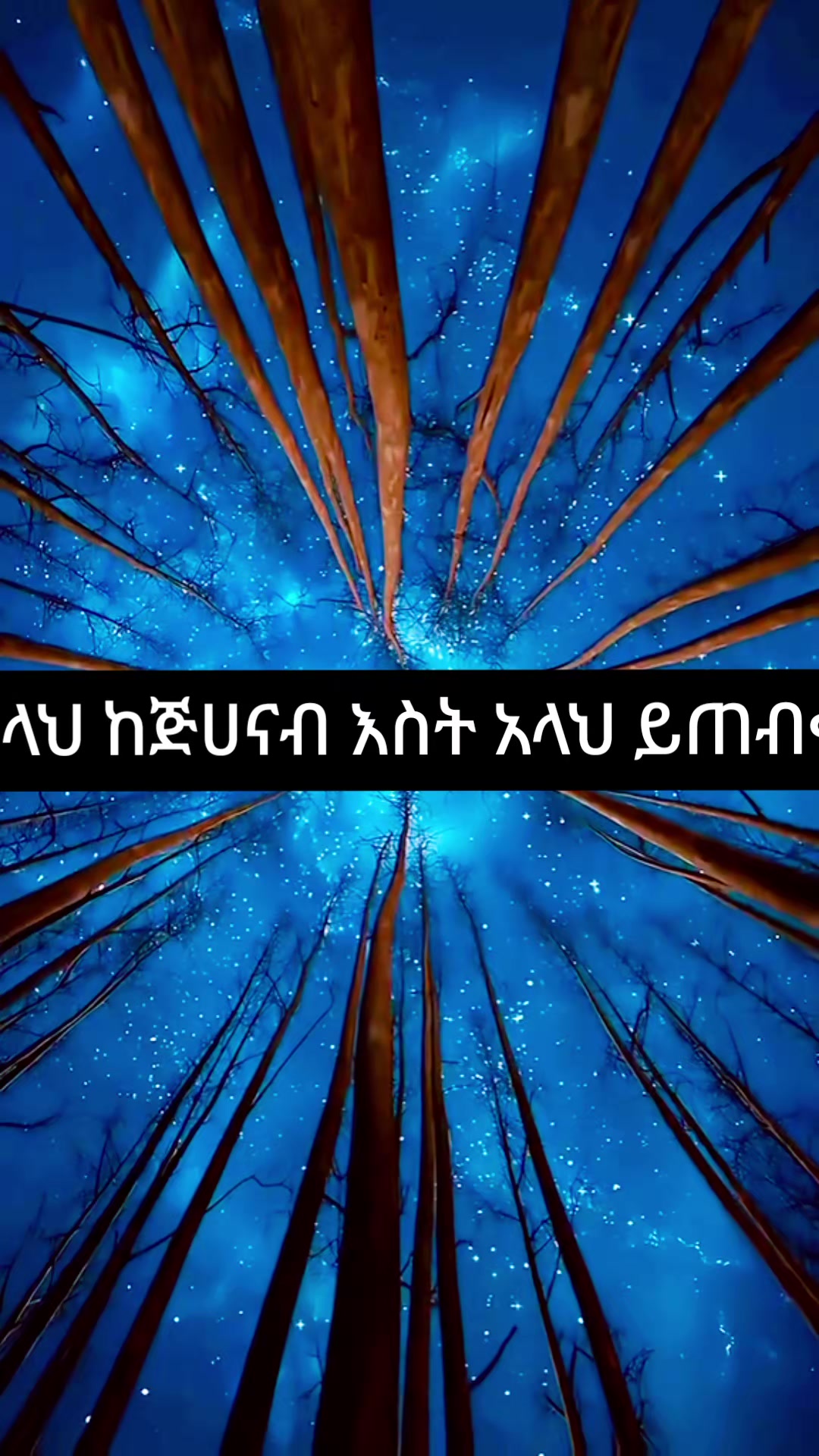 @ኢተቂሏህ ነብሴ 1الله كريم🕊🤍Ⓜ