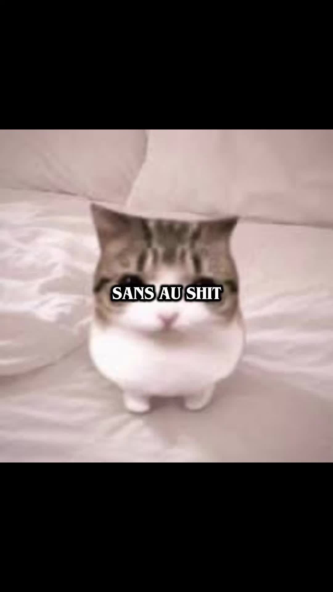 @&deg;˖✧▪︎-𝐍𝕚𝕔𝕜-▪︎✧˖&deg;